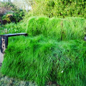 Metamorphosis Of A Sofa by Rebecca Cubitt