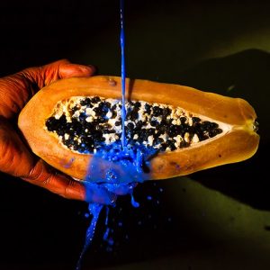 Papaya and blue water by Simon Marshall